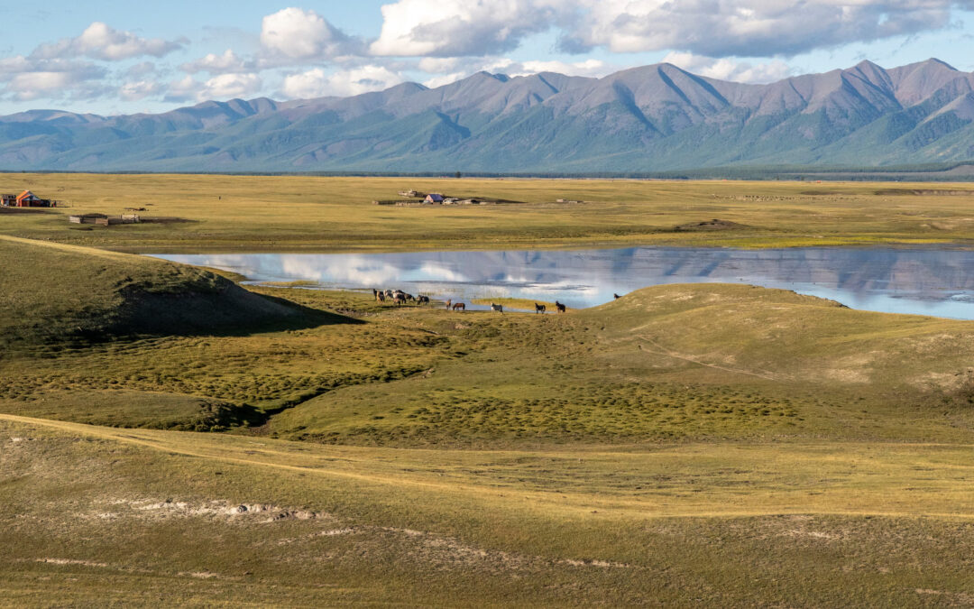 The Guardian features Frozen Commons fieldwork in northern Mongolia